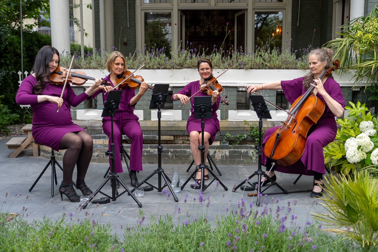 Feest-bruiloft-strijkKwartet-mulberry-1